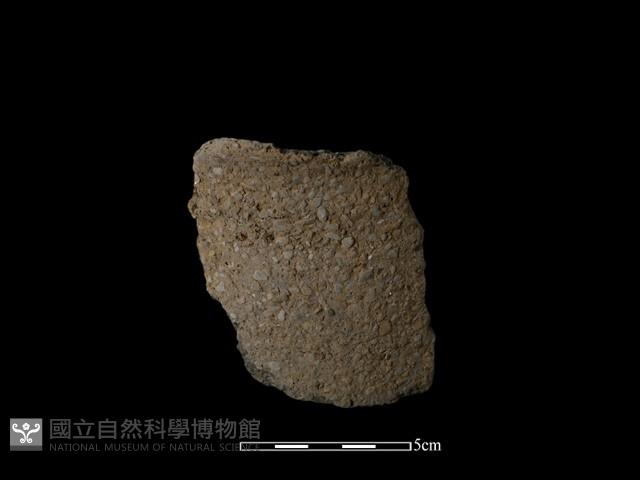 陶片藏品圖，第2張