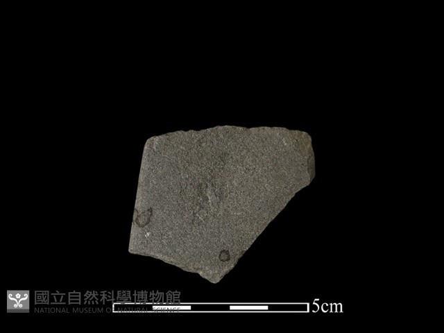 磨製石器藏品圖，第1張