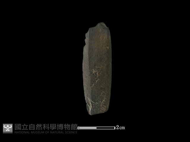 矛鏃形器藏品圖，第1張