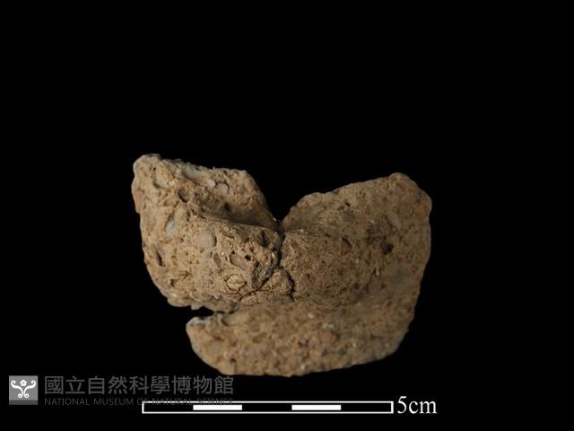 陶耳藏品圖，第1張