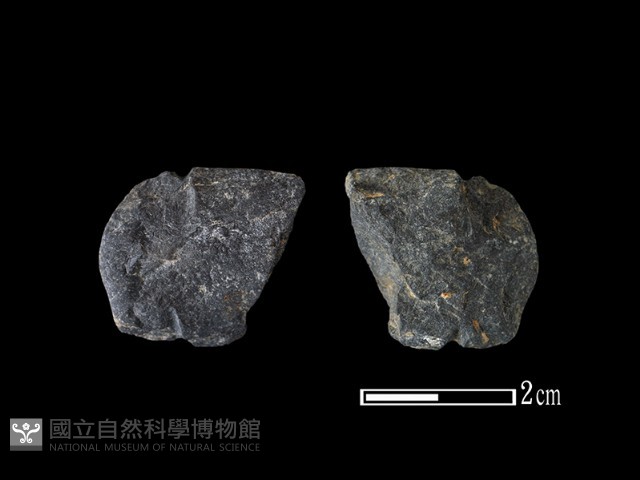網墜藏品圖，第1張