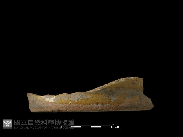 陶片藏品圖，第2張