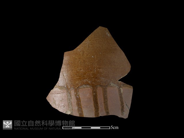 硬陶片藏品圖，第2張