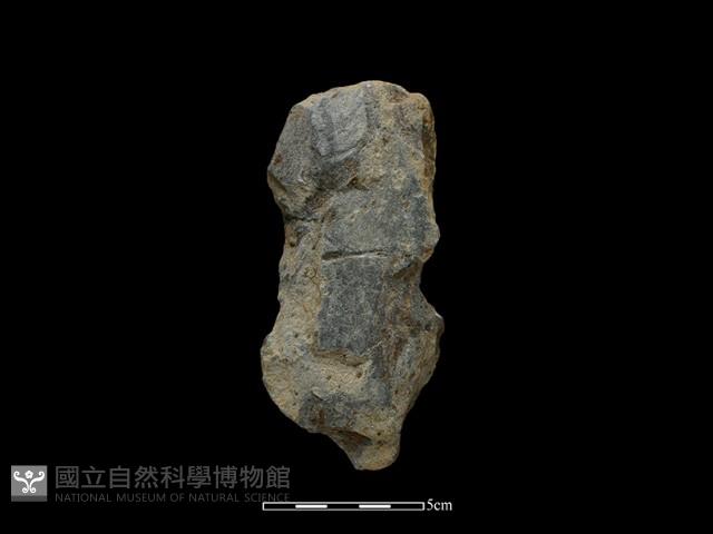 Accession Number:SWK-2018-112 Collection Image, Figure 1, Total 2 Figures