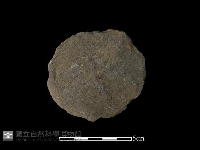 圓板形石器藏品圖，第1張