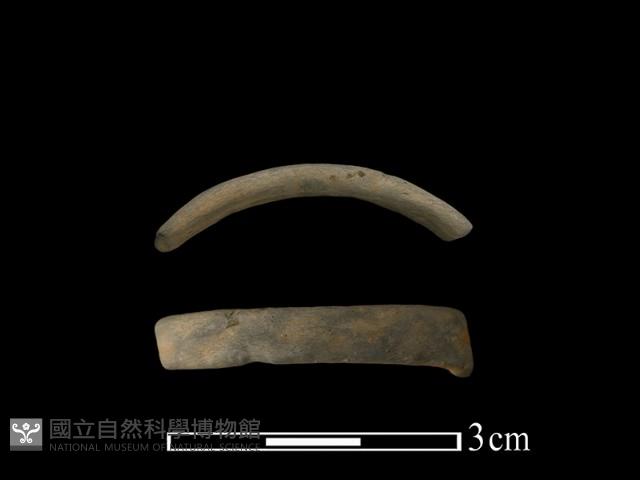 陶環藏品圖，第1張