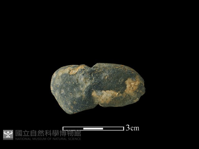 網墜藏品圖，第1張