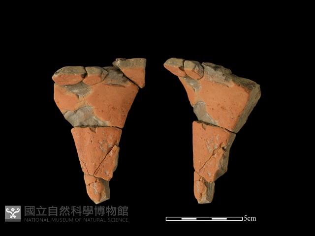 豆形器藏品圖，第1張