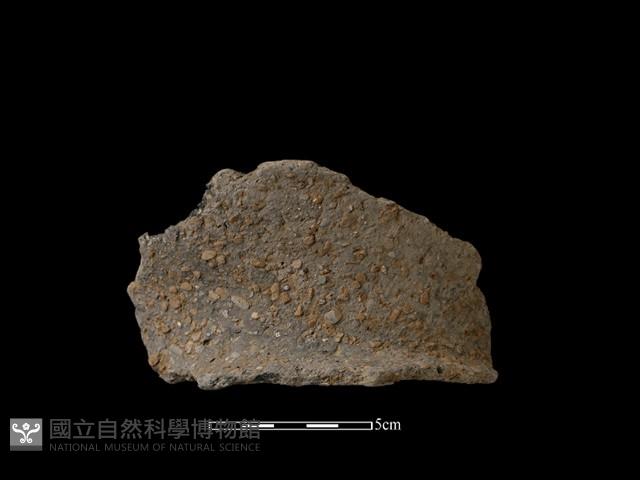 陶片藏品圖，第1張