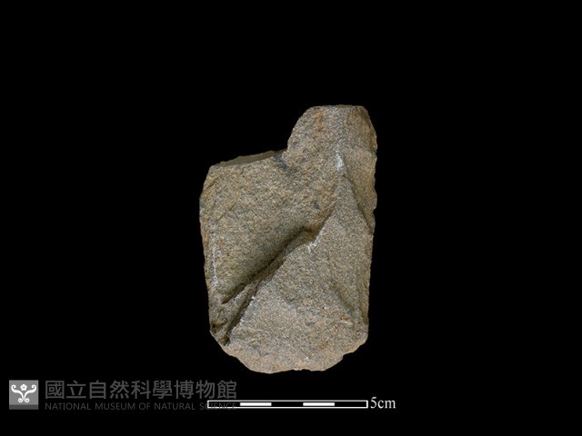 斧鋤形器藏品圖，第2張