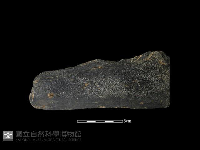 磨製有刃石器藏品圖，第2張