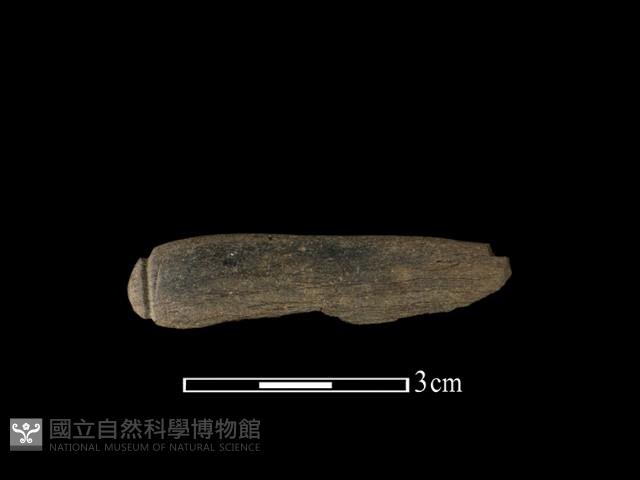 網墜藏品圖，第1張