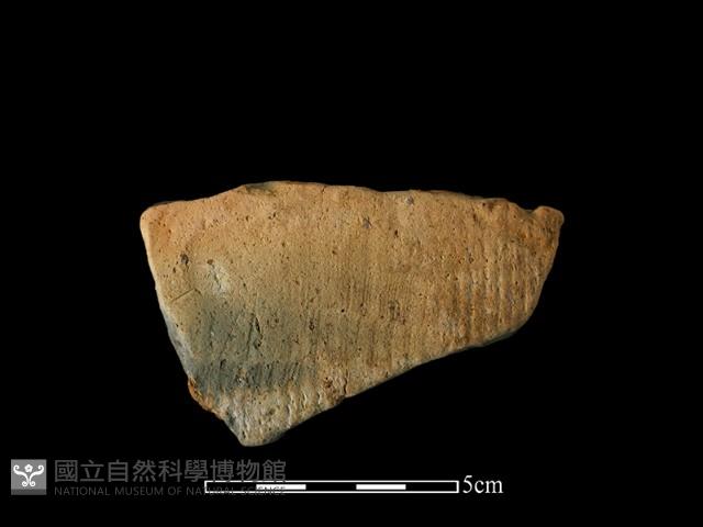 陶片藏品圖，第1張