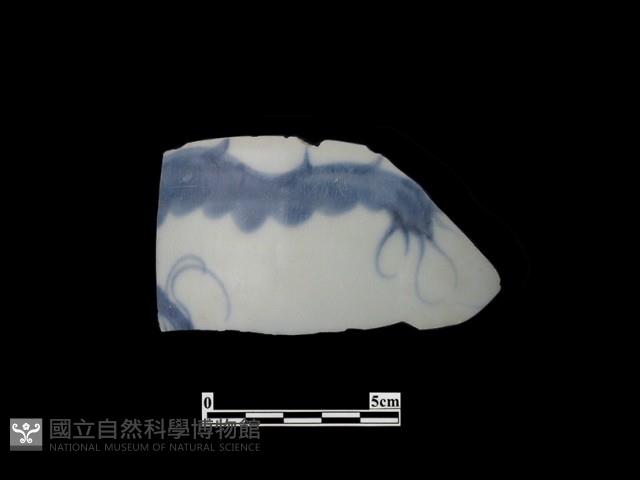 帶紋飾瓷片藏品圖，第1張