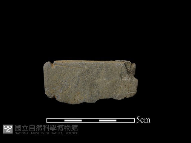 網墜藏品圖，第1張