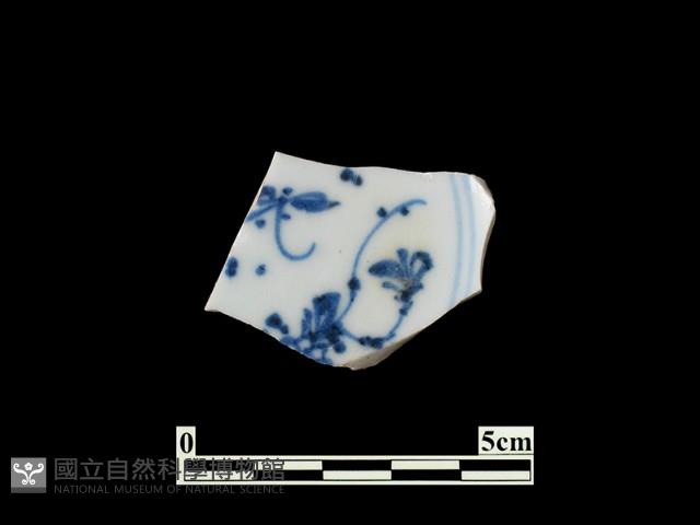 Accession Number:PTT-DE160 Collection Image, Figure 1, Total 2 Figures