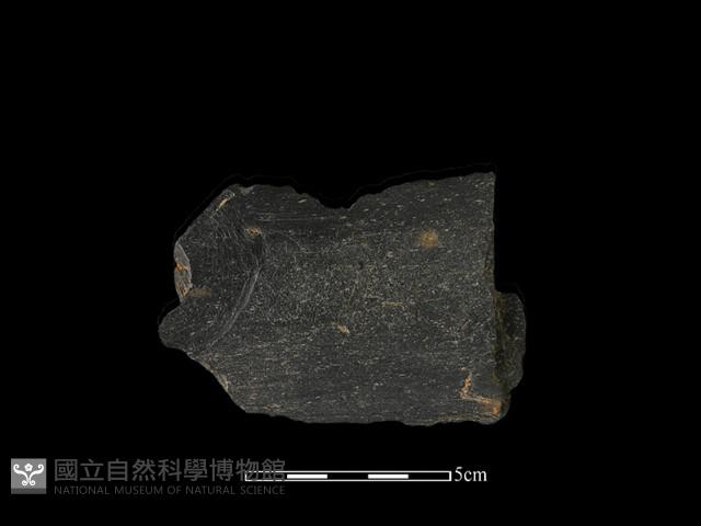 磨製有刃石器藏品圖，第1張