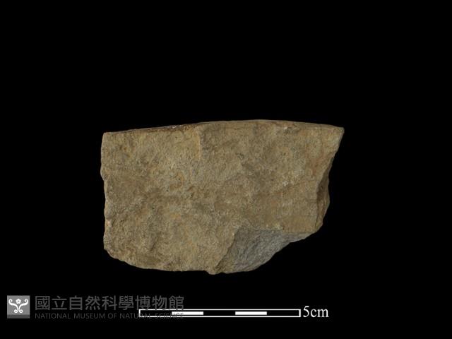 石片器藏品圖，第2張