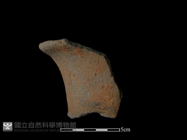 陶片藏品圖，第2張