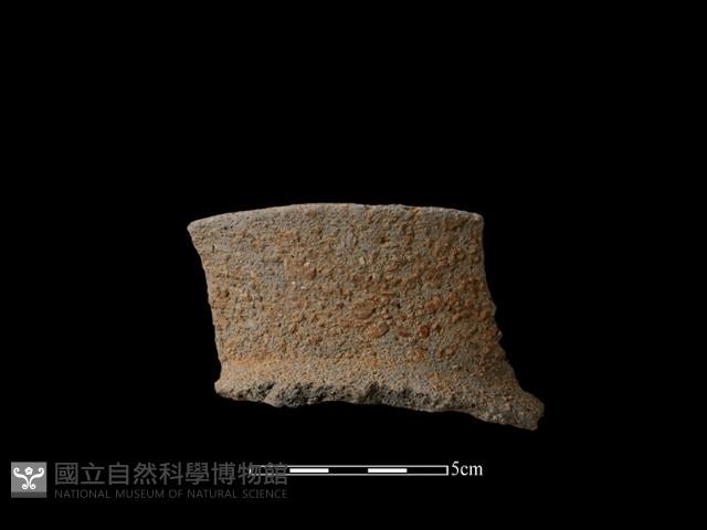陶片藏品圖，第2張