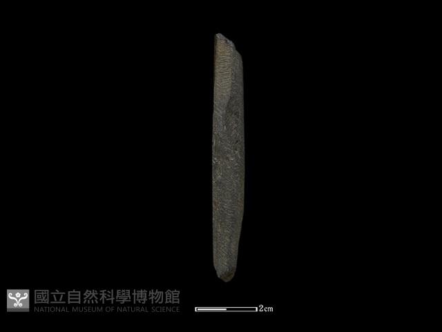 間接打擊棒藏品圖，第1張