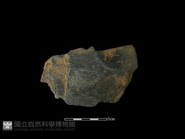 戈形器藏品圖，第2張
