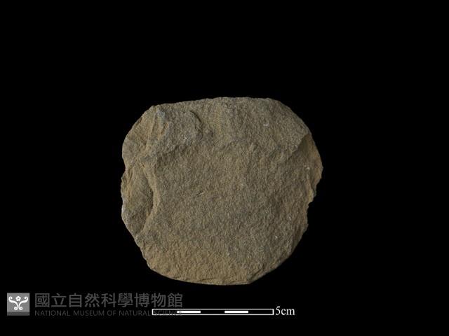 石片器藏品圖，第2張