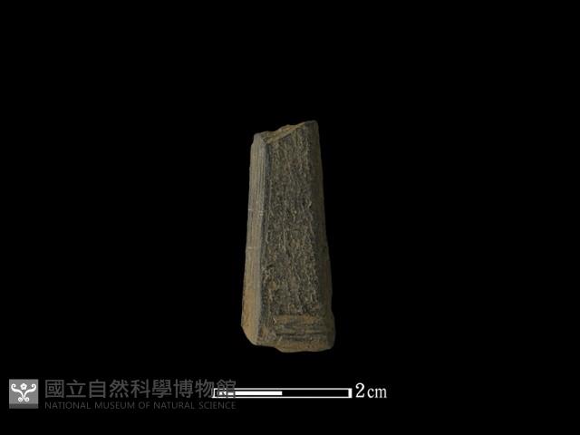 矛鏃形器藏品圖，第1張