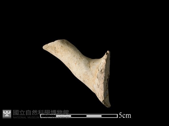 陶壺藏品圖，第1張