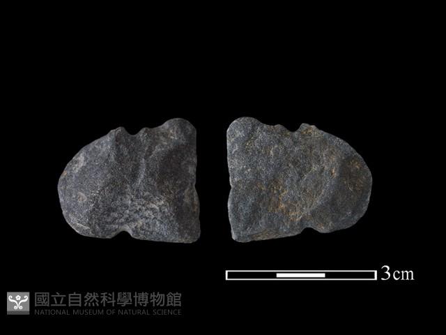 網墜藏品圖，第1張