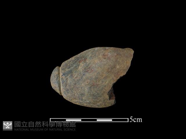 網墜藏品圖，第1張