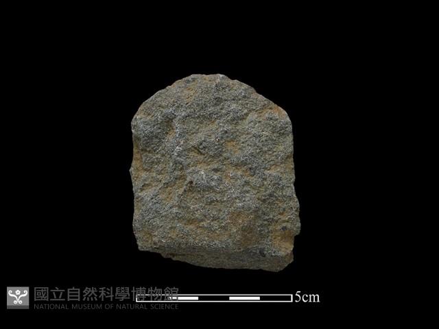 斧鋤形器藏品圖，第2張