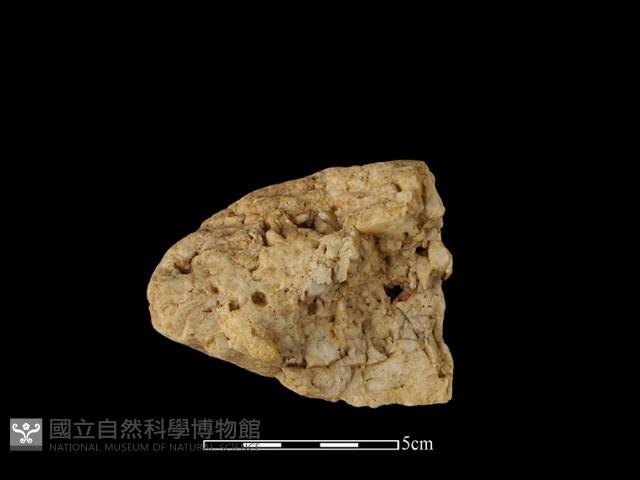 石材藏品圖，第1張