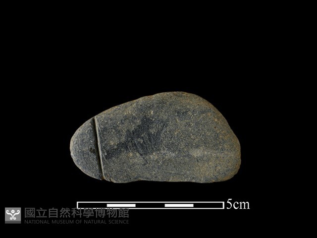 網墜藏品圖，第2張