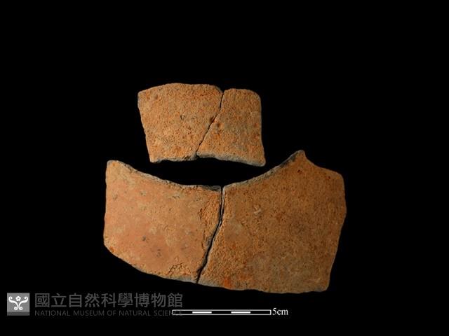 陶片藏品圖，第1張