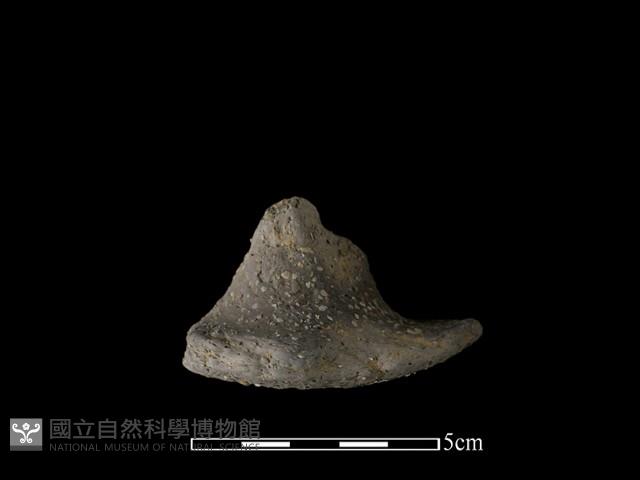 陶蓋鈕藏品圖，第2張