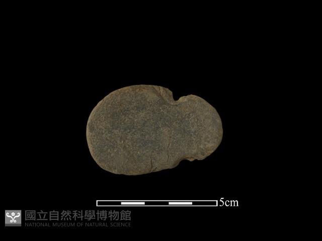 網墜藏品圖，第1張