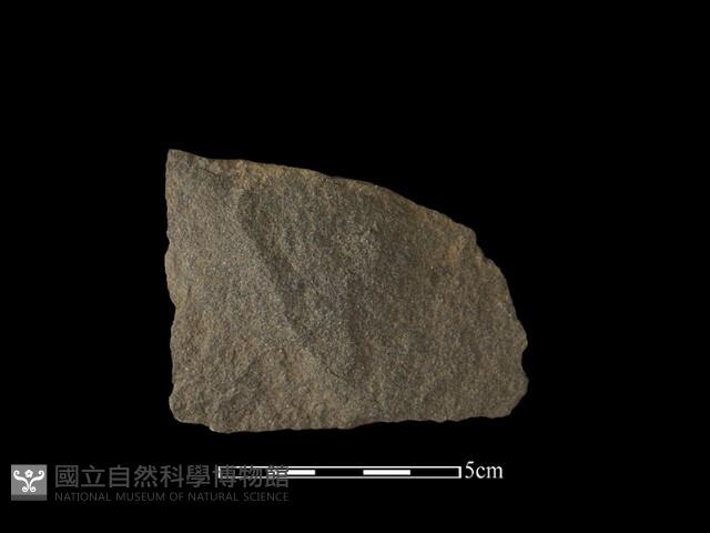 石片器藏品圖，第1張