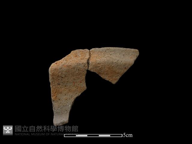 陶片藏品圖，第1張