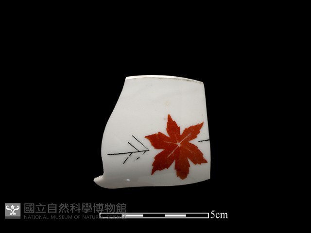 瓷碗藏品圖，第1張