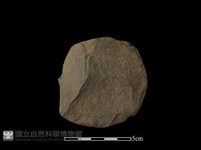 石片器藏品圖，第1張