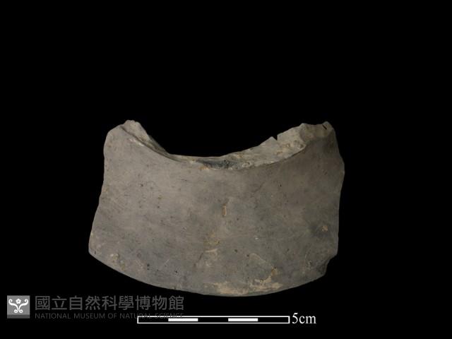 陶片藏品圖，第1張