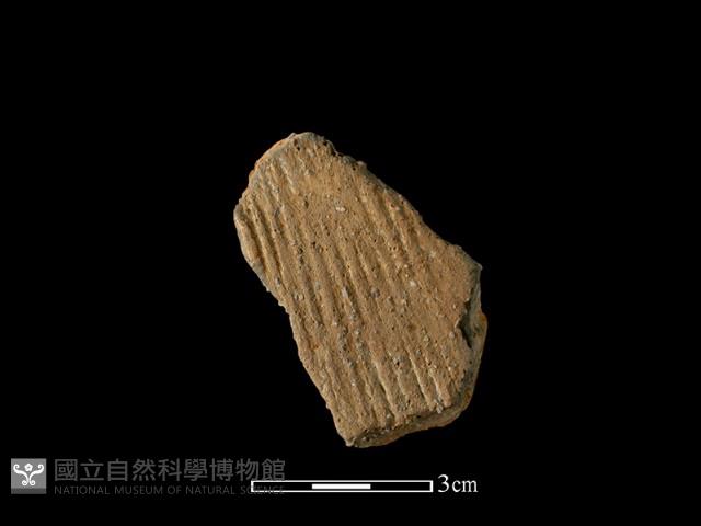 陶片藏品圖，第1張