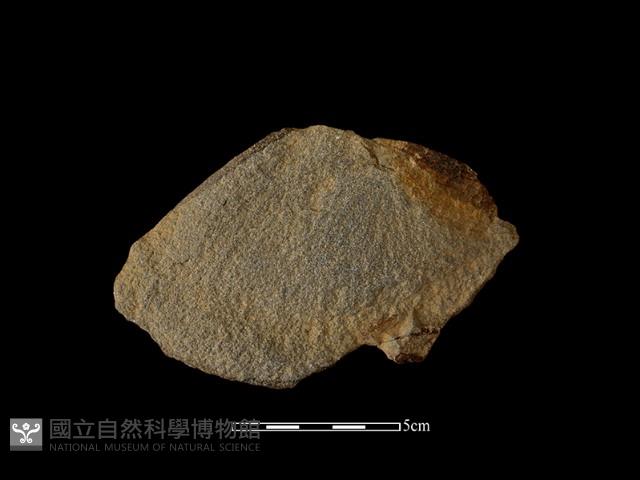 石片器藏品圖，第1張