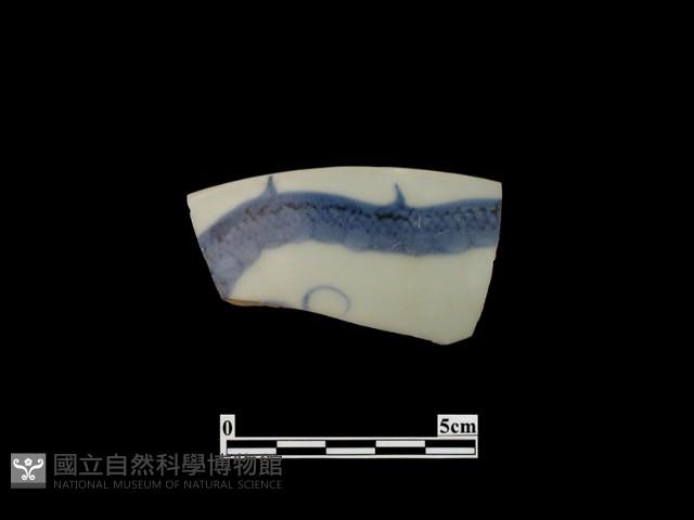 帶紋飾瓷片藏品圖，第2張