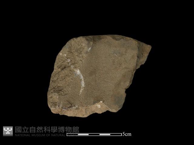 砥石藏品圖，第2張