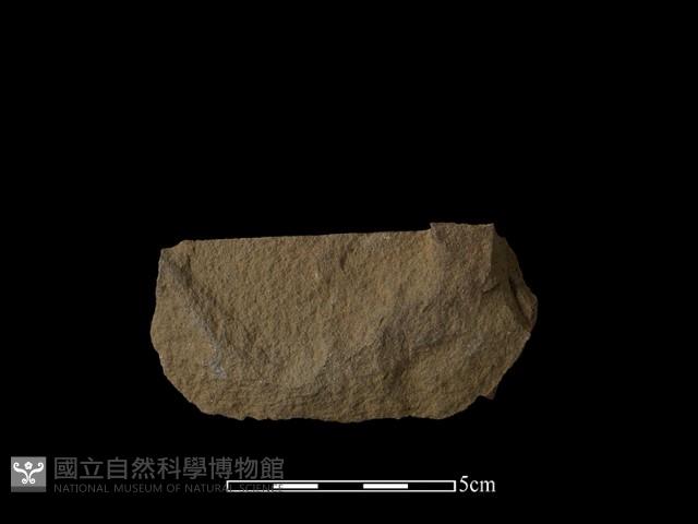 石片器藏品圖，第2張