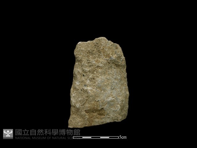 斧鋤形器藏品圖，第1張