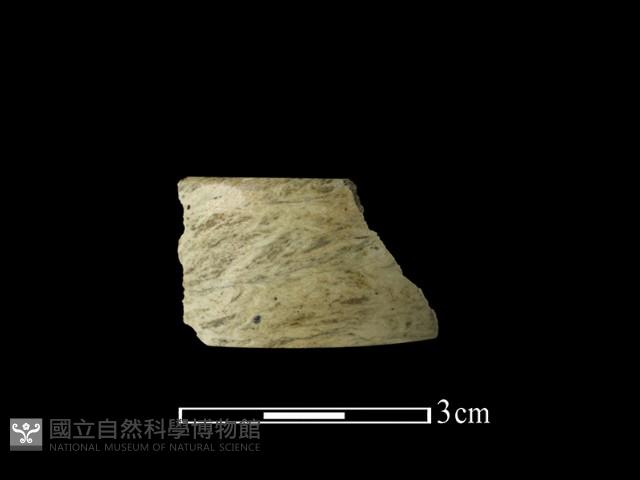 玉環藏品圖，第1張