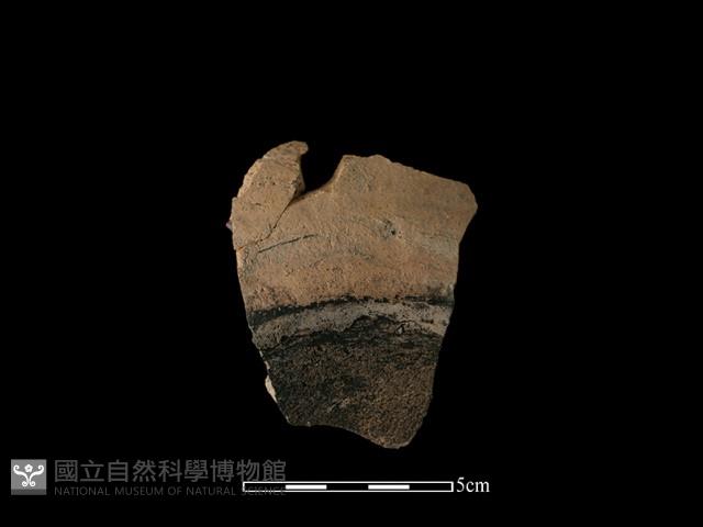 硬陶片藏品圖，第1張